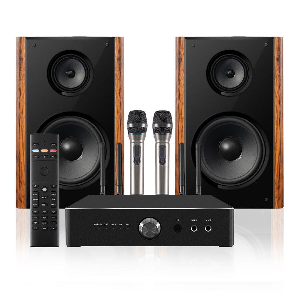 Enceinte de Karaoké Maison Professionnelle 300W Haute Puissance | iHomeLife-HLQ Audio HiFi pour KTV Maison, Home Cinéma et Petites Représentations