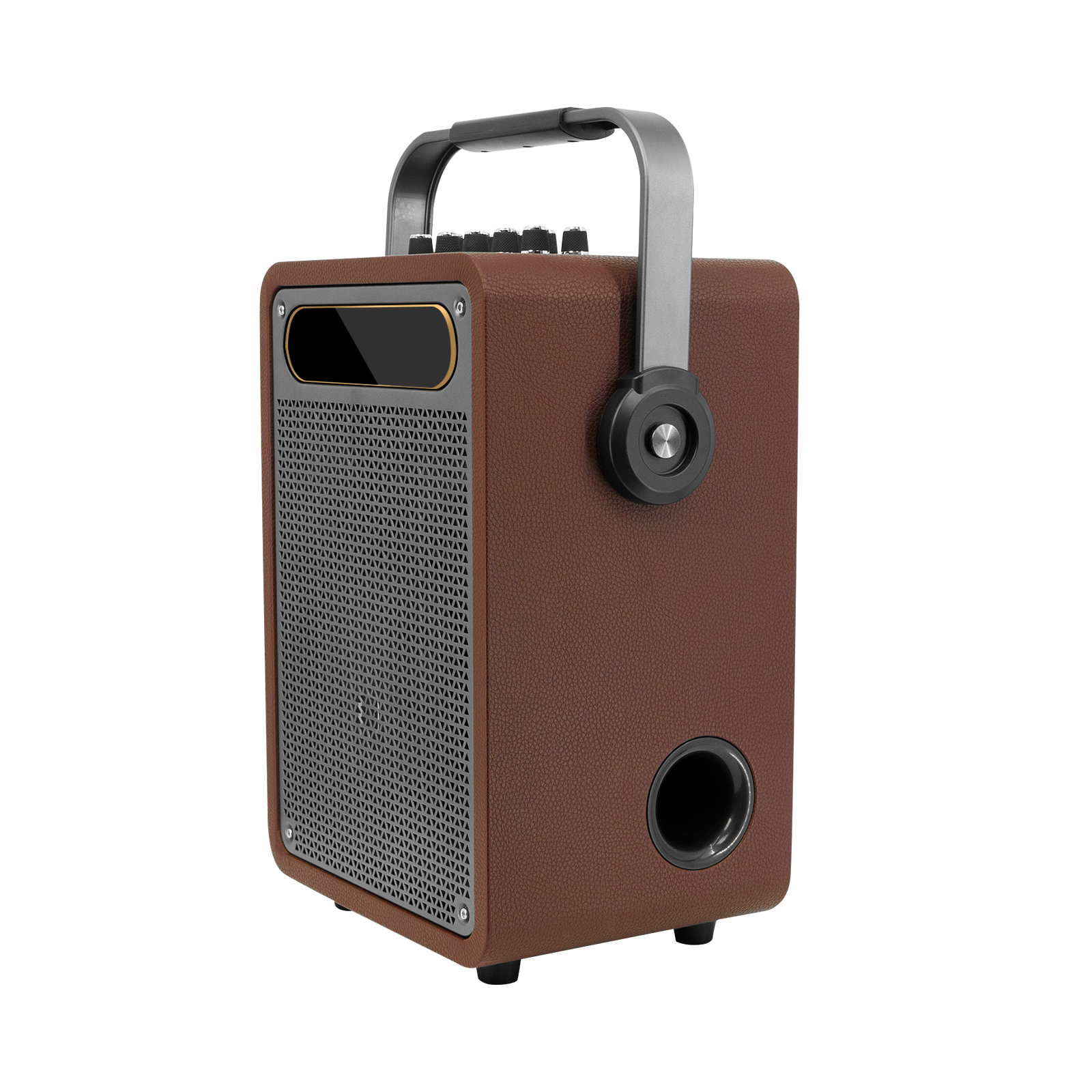 New Portable Karaoke Speaker (Special Speaker for Musical Instrument Performance and Singing)