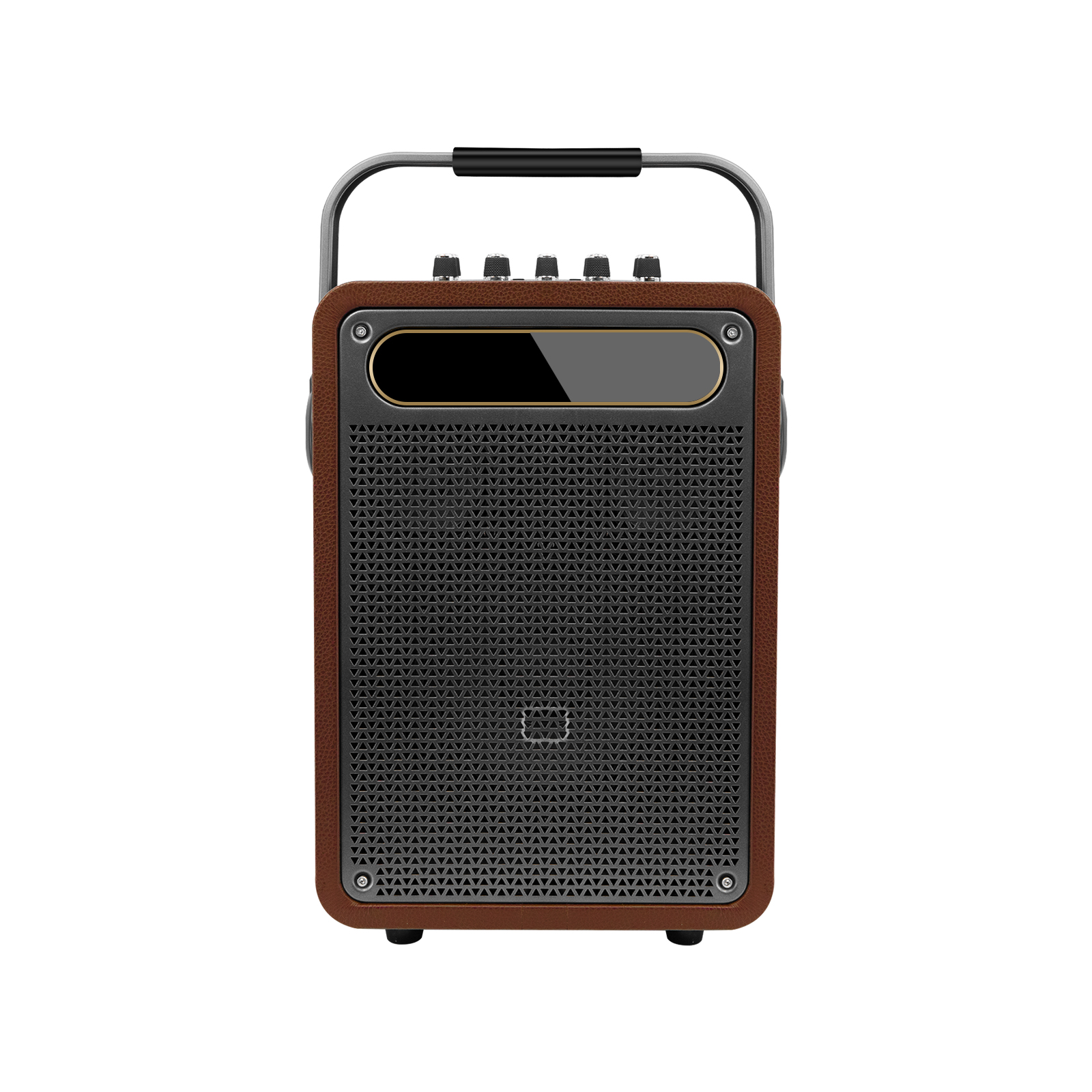 New Portable Karaoke Speaker (Special Speaker for Musical Instrument Performance and Singing)