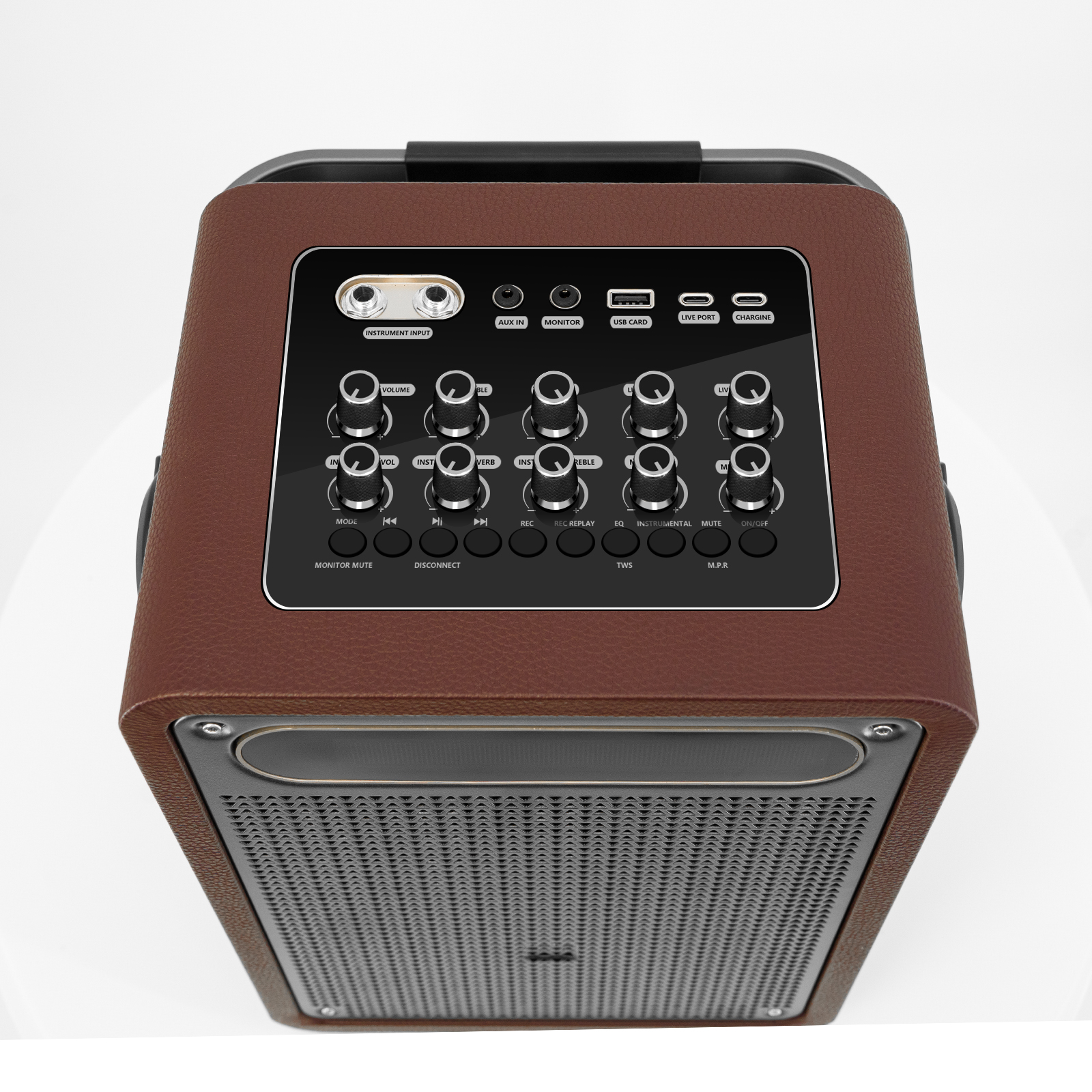 New Portable Karaoke Speaker (Special Speaker for Musical Instrument Performance and Singing)