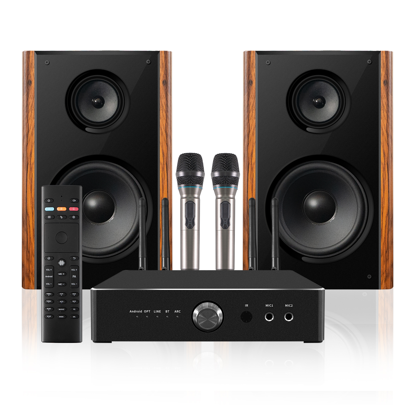 300W High Power Professional Home Karaoke Speaker | iHomeLife-HLQ HiFi Home KTV Audio for Home Theater & Small Performances