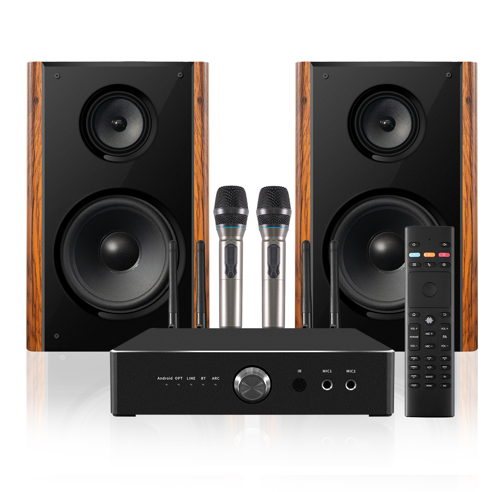 300W High Power Professional Home Karaoke Speaker | iHomeLife-HLQ HiFi Home KTV Audio for Home Theater & Small Performances