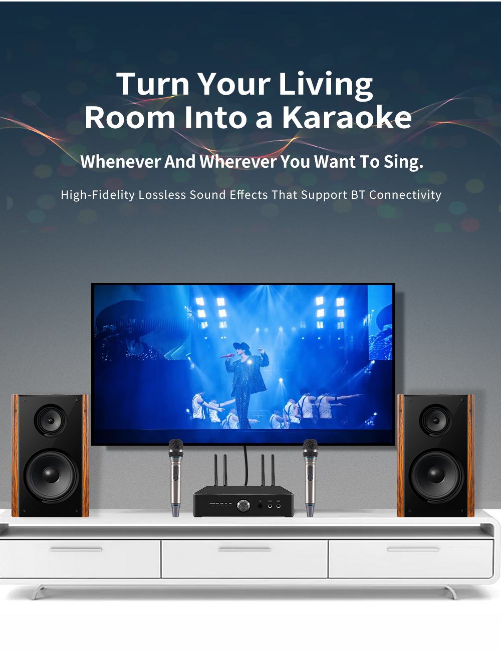 300W High Power Professional Home Karaoke Speaker | iHomeLife-HLQ HiFi Home KTV Audio for Home Theater & Small Performances