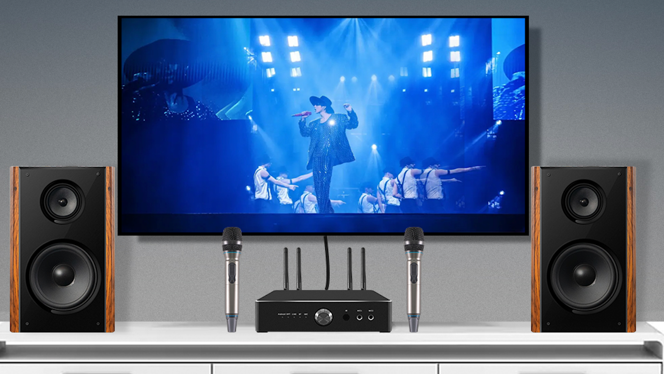 iHomeLife-HLQ 300W Professional Home Karaoke Speaker for KTV & Home Theater