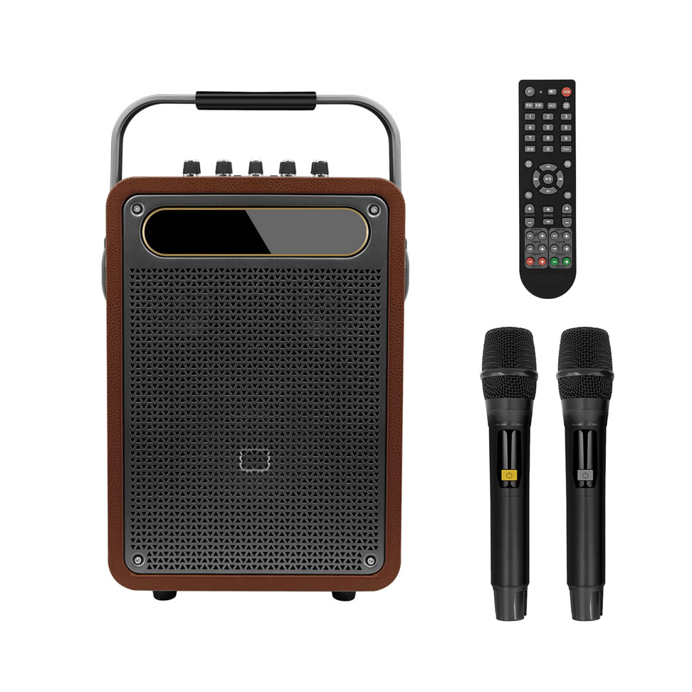 New Portable Karaoke Speaker (Special Speaker for Musical Instrument Performance and Singing)